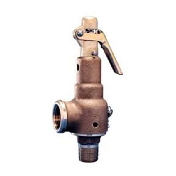 Kunkle Valve 6021DCT01AM0150 1/2"X3/4", 150 926Pph Stm Rlf PartsHnC