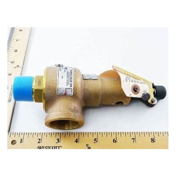 Kunkle Valve 6021FET01AAM0150 1X1.25 Inch 150 2571Pph Steam Rlf
