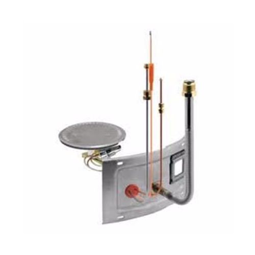 Burner Assy W Door For Rheem-Ruud Part# Am41863