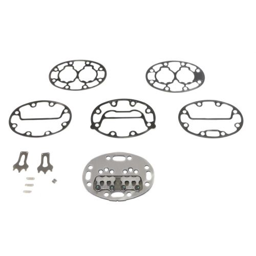 Valve Plate Package For Carlyle -Part# 06DA660151