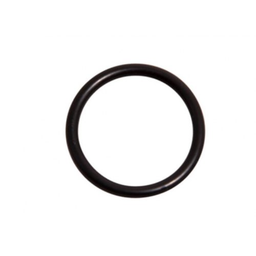 Lochinvar & A.O. Smith 100076308 O-Rimg Fkm