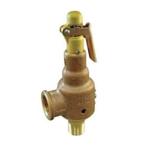 2"X2.5" Stean Relief 150# For Kunkle Valve -Part# 6010JHE01-LM0150