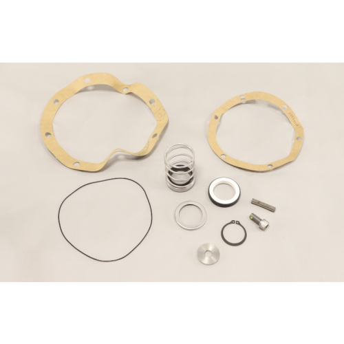 PACO Pump 91910609 Seal Kit 9.5" Length