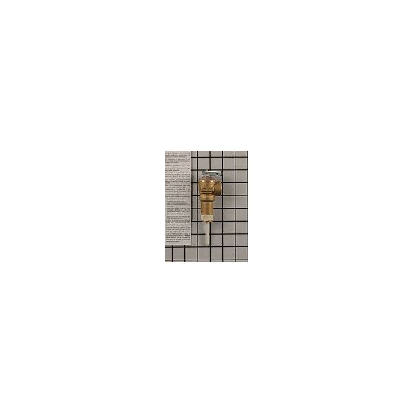 A.O. Smith 100108456 - Kit 2 Shank Tu0026P Replaces 9000728015 9000728045 |  PartsHnC
