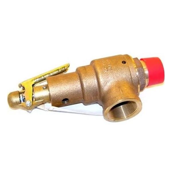 Kunkle Valve 6010GFM01AM0125 1.25"X 1.5" 125Steam 3590Hr PartsHnC